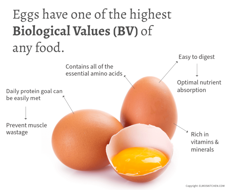 Image of a whole egg with the headline stating 'Eggs have one of the highest Biological values of all foods